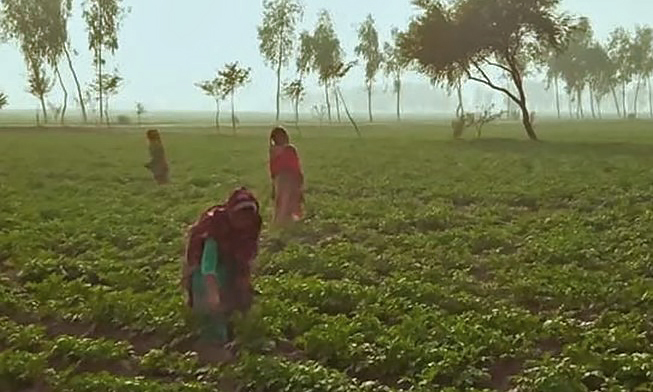 PepsiCo Pakistan 1st Daycare for Women Agricultural Workers